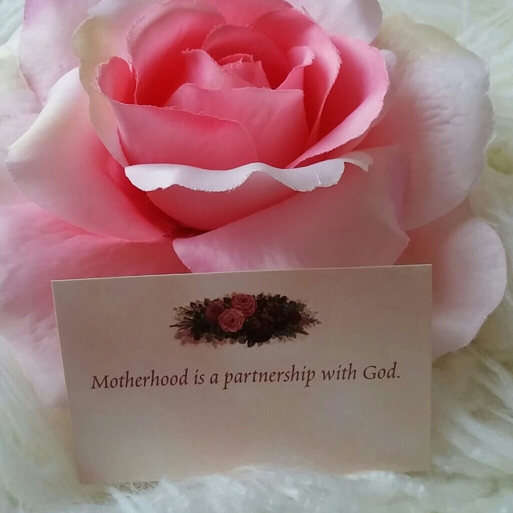 ✝🌷🌸LOVE🌸🌷✝ - Picture 3 of 6